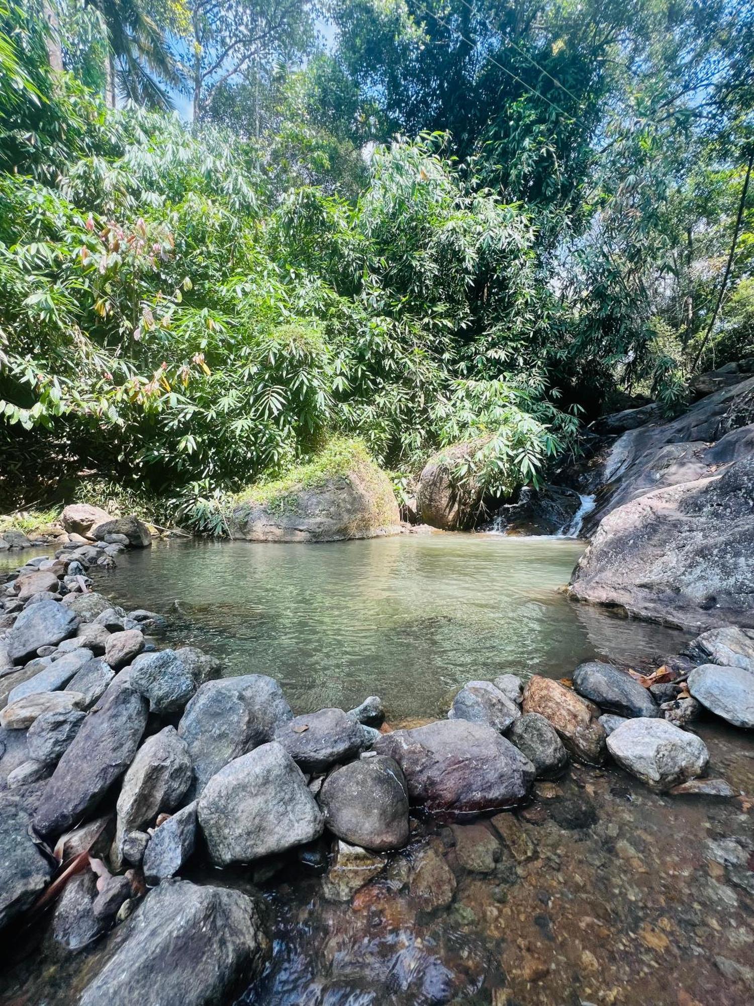 Mount Court Munnar Hotel Kültér fotó